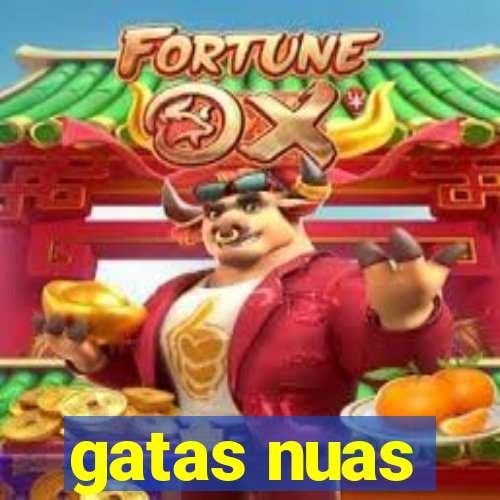 gatas nuas